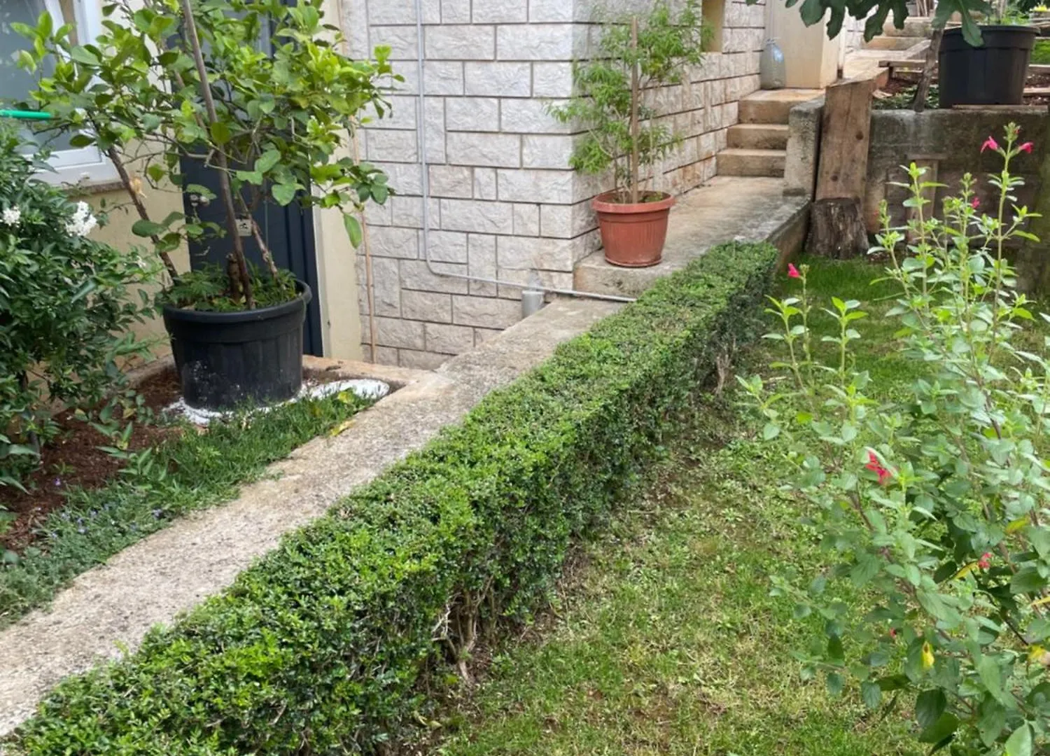 Apartmani Darko Rovinj