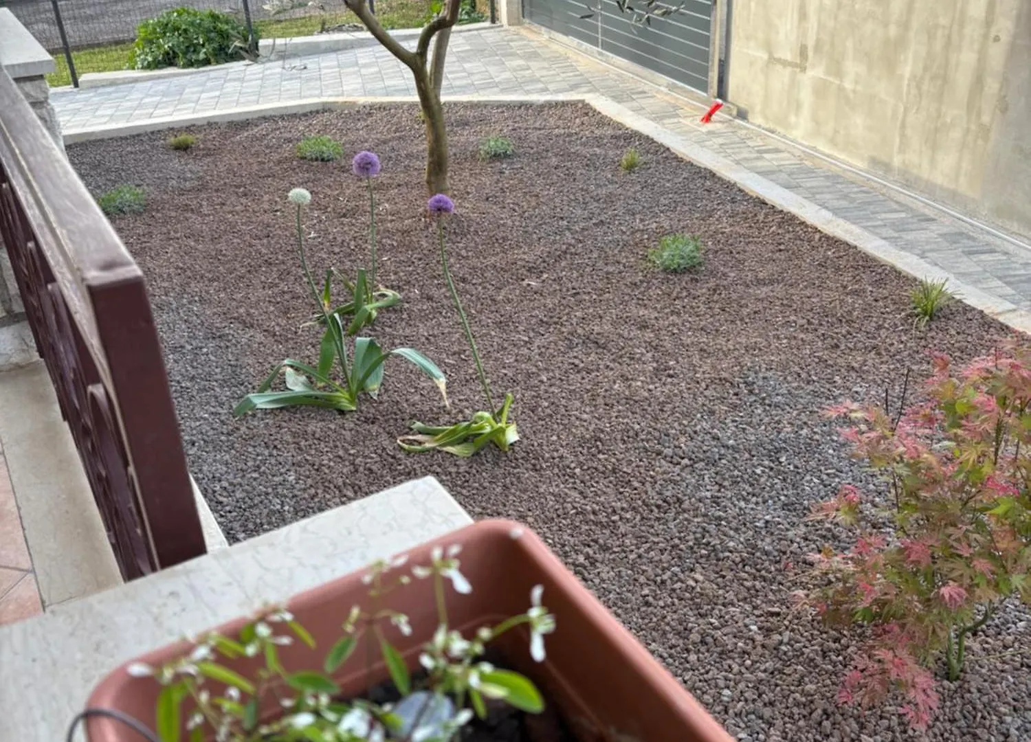 Apartmani Darko Rovigno Appartamento